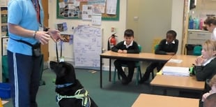 Dog visit opens children's eyes to visual impairments