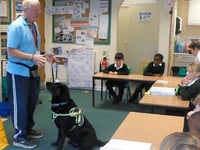Dog visit opens children's eyes to visual impairments