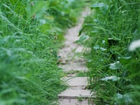 New agreement to help maintain Public Rights of Way