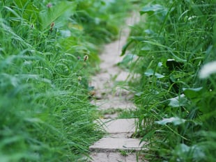 New agreement to help maintain Public Rights of Way