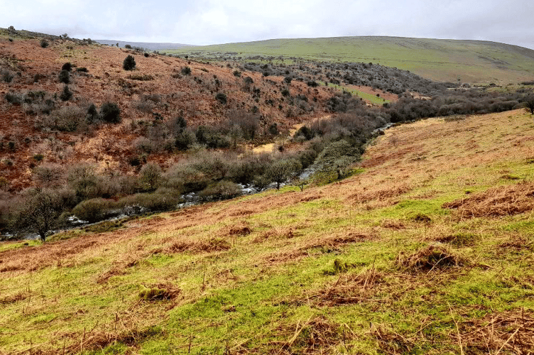 The River Erme and Harford Moor