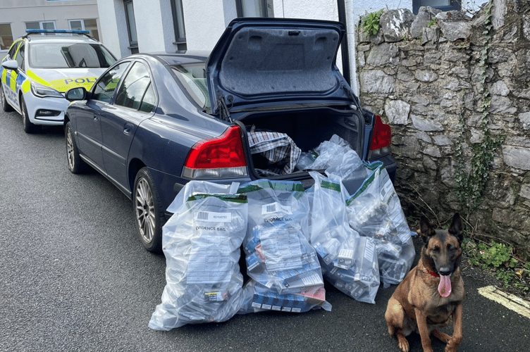 Photo of the illicit tobacco products and non-UK compliant vapes seized, with BTP dog