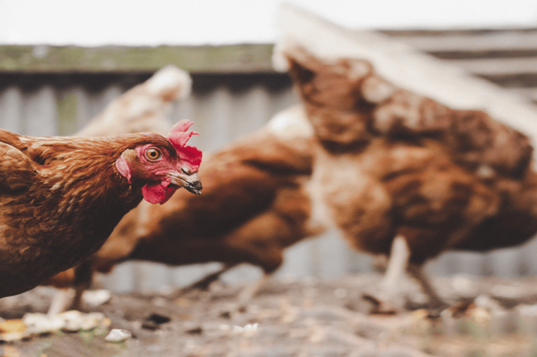 The GoFundMe set up to support Orchard Organic Farm has topped £30,000