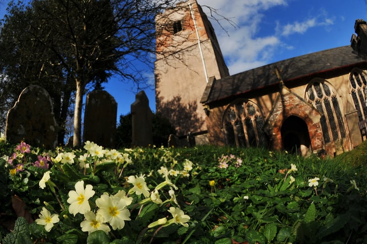 Sping is sprung. Signs of the new season appearing at St Mary's Church churchyard in Kingskerswell.