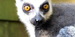 Zoo’s oldest resident celebrates 30th birthday