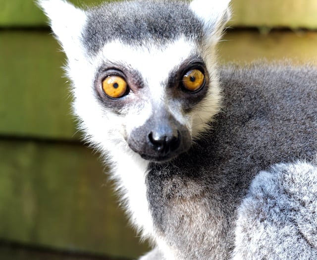 Zoo’s oldest resident celebrates 30th birthday