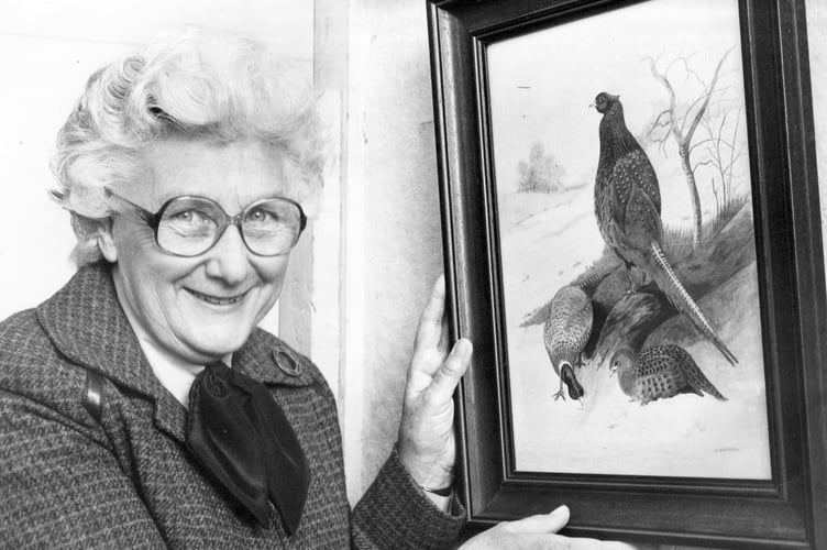BIshopsteignton Art Group exhibition from April 1986. Group member Audrey Whitaker with her painting of pheasants