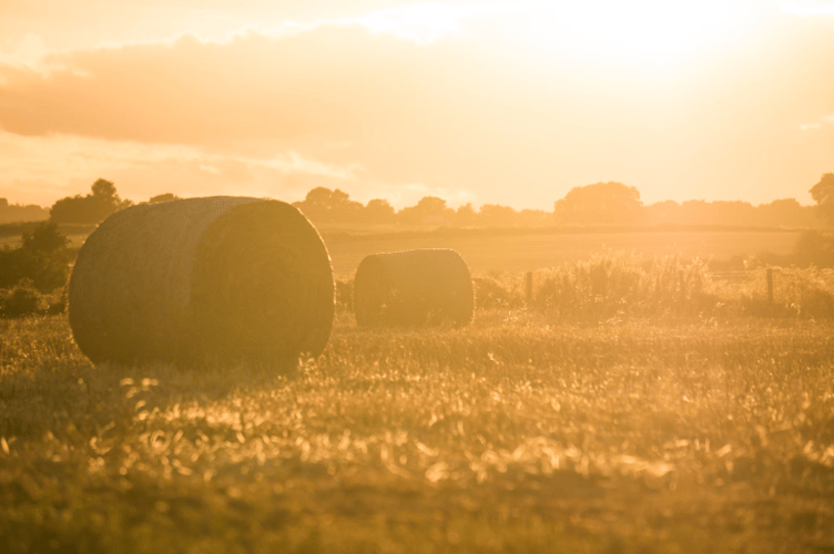 Cases of fuel thefts from farms have prompted police to issue advice