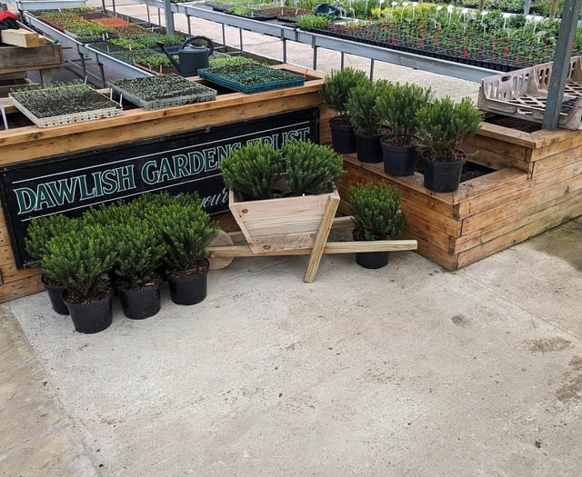 Gardens trust prepares to open for summer season 