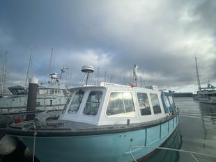 Former Gosport Ferry in New Starcross Role