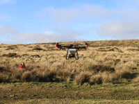 Drones used to sow seeds in rainforest rebuild project 