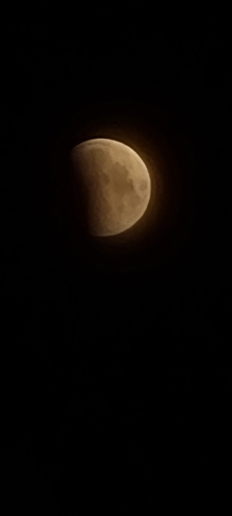 This morning's lunar eclipse pictured by Nicola Bennett.