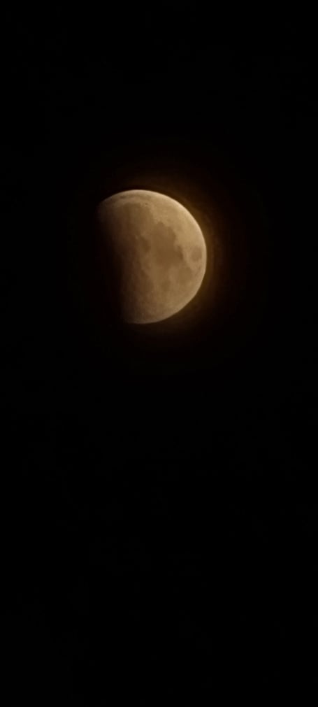 This morning's lunar eclipse pictured by Nicola Bennett.
