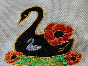 New Poppy Appeal Dawlish badge launched