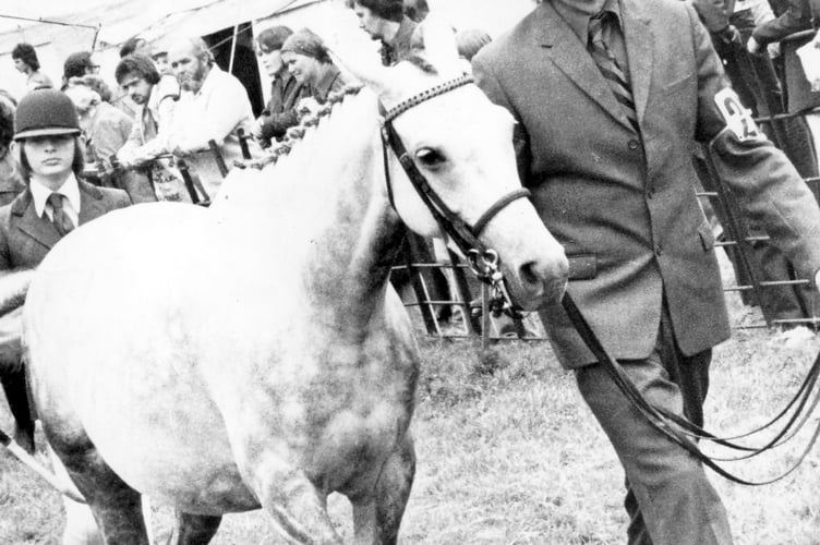Taking to the ring at Chagford Show in the mid-1970s