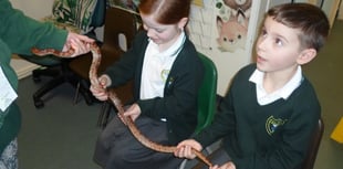 Wildlife Visit Funded by Teignmouth Students