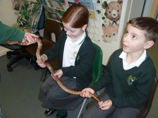 Wildlife Visit Funded by Teignmouth Students