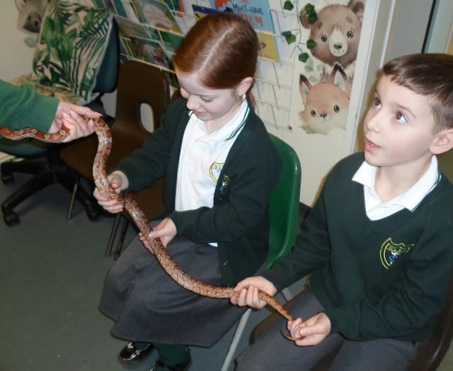 Wildlife Visit Funded by Teignmouth Students