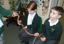 Wildlife Visit: Kids' Fundraiser Success