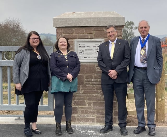 Bridge opening marks landmark for 'missing link' road
