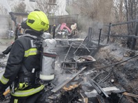 Garden ravaged by fire as crews save house 