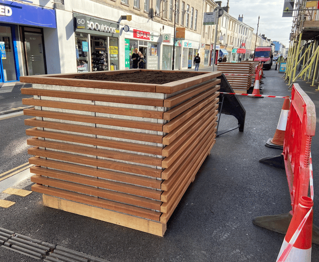 Planters in place ahead of trees