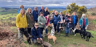 Devon Loves Dogs national recognition
