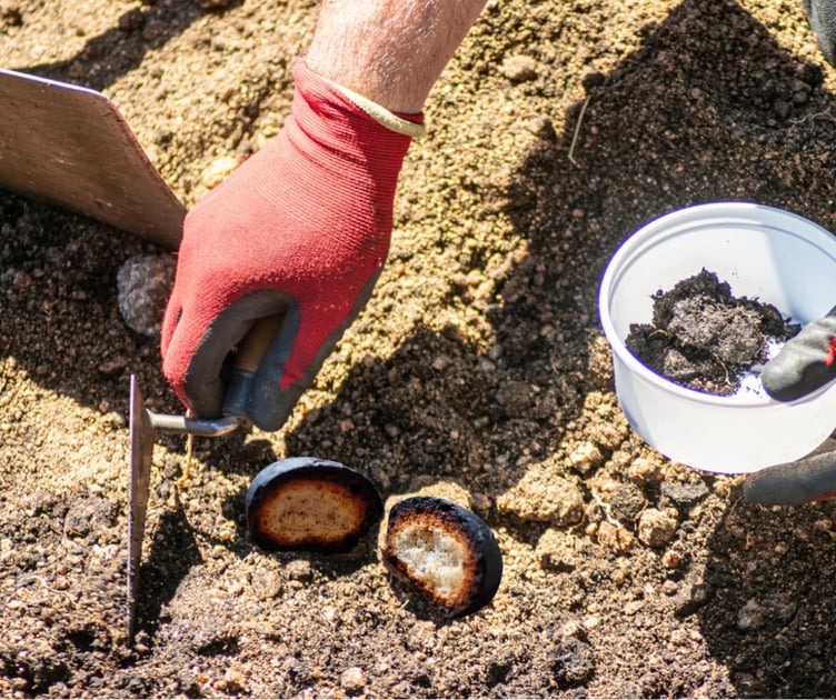 Fossilised Cream Tea Being Unearthed on Dartmoor