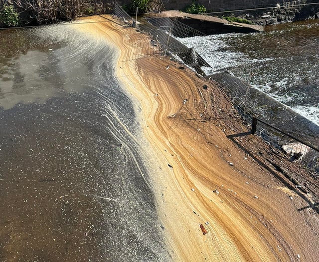 Non-toxic algae on Dawlish Brook