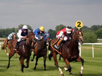 New season gets underway at Newton Abbot Racecourse