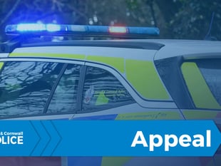 Armed men force way inside home and make off with cash 