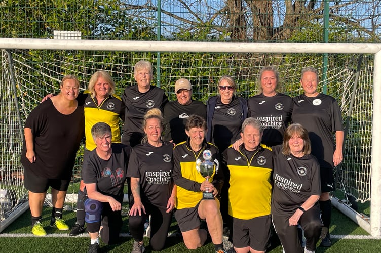 Division Two winning Teign Bees