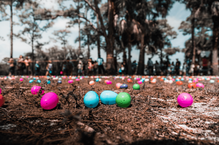 There are several Easter events at Teignbridge's countryside parks 