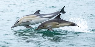 Devon Skipper Wins Photography Award