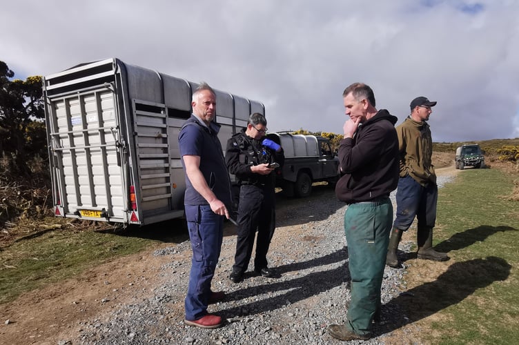 Trailer containing stolen sheep found by farmers at Holne Moor. Photo Roberta Bishop 