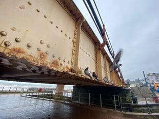 Petition for Dawlish viaduct restoration