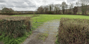 Council refuse permission for dedicated dog-walking field
