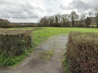 Council refuse permission for dedicated dog-walking field