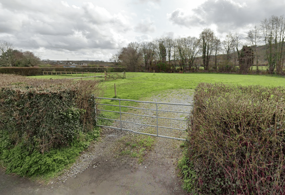 Council refuse permission for dedicated dog-walking field