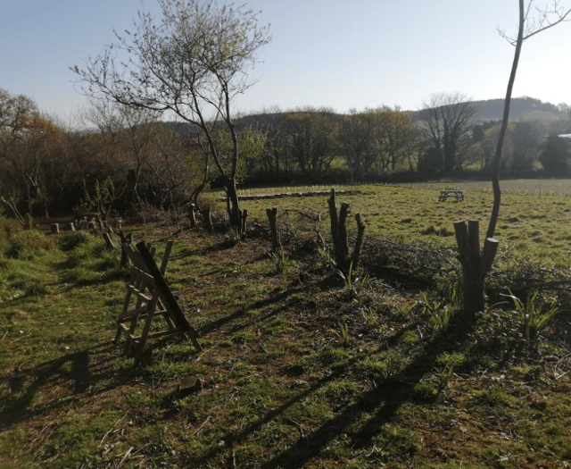 Patients thrive with new skills in environmental conservation