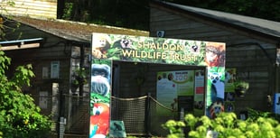 Ruby reward for loyal locals