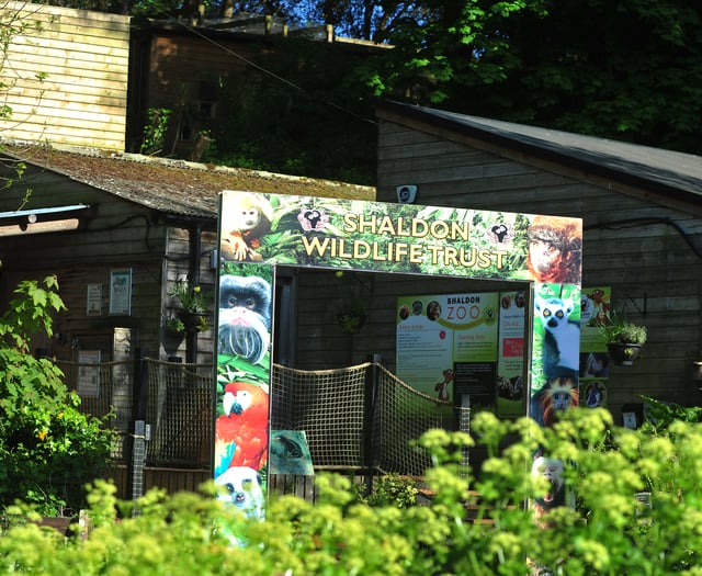 Ruby reward for loyal locals