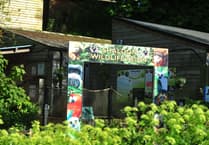 Ruby reward for loyal locals