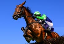 May racing  at Newton Abbot Racecourse