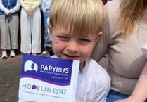 Hero's welcome for high-climbing Bobby