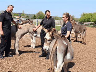 Officers swot up on proper donkey handling at Sidmouth sanctuary 