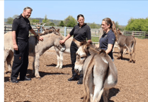Officers swot up on proper donkey handling at Sidmouth sanctuary