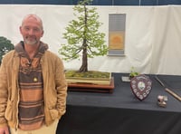 Win puts local bonsai on national stage