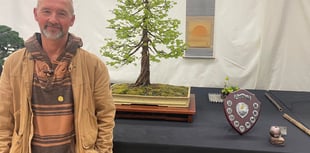 Win puts local bonsai on national stage