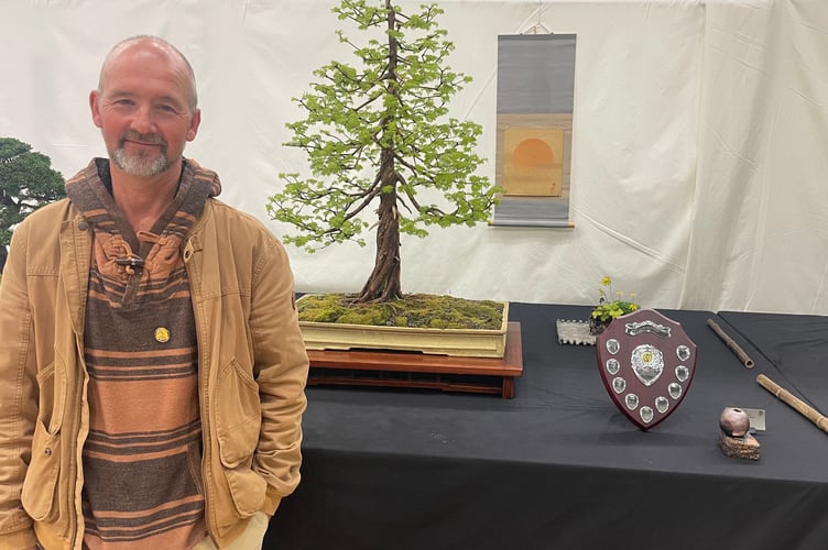 Simon and the prize-winning  dawn redwood